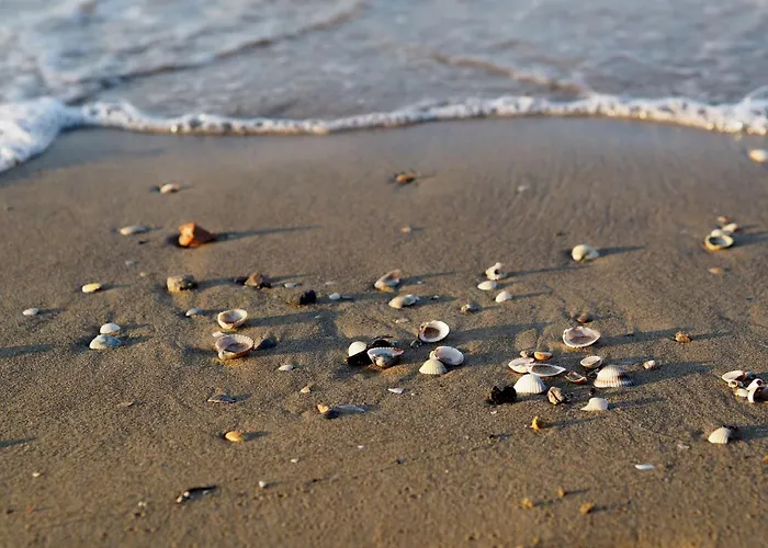 Daire Marine Escape - Seaside Tranquility