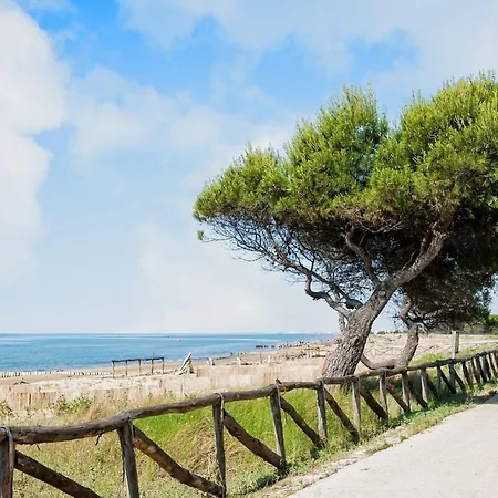 Marine Escape - Seaside Tranquility